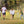 Cougar Color Run Registration