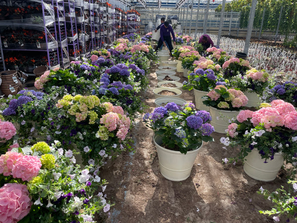 The Garden Shoppe