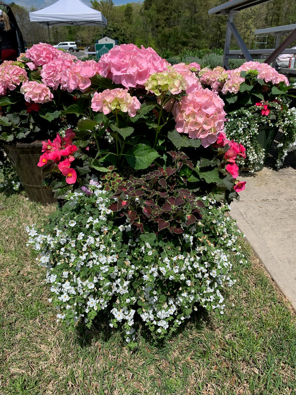 The Garden Shoppe