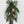 Outdoor Holiday Swag for Doors, Lanterns, Bannisters and Mailboxes