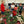 Wreath-Making Workshop Tickets